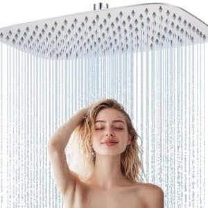 Edelstahl Regendusche Duschkopf, Anti-Kalk-Düsen, Chrom, 40 x 25 cm