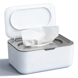 Feuchttücher Box Baby Klein, feuchte Toilettenpapier Boxen mit Beige Design für Erwachsene, Feuchtigkeitsspendender Aufbewahrung für Tücher und Haushaltsessentials in einer compacten Form