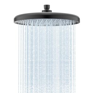 Regendusche, Duschkopf, 25cm Durchmesser, anti-kalk-düsend, installierbar an der Wand oder Decke, modernes Design, wassersparend, hitzebeständig, alterungsbeständig und korrosionsbeständig
